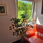 Les 6 * Zlín